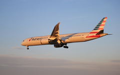 「ブルー」American 787-9 N833AA 到着