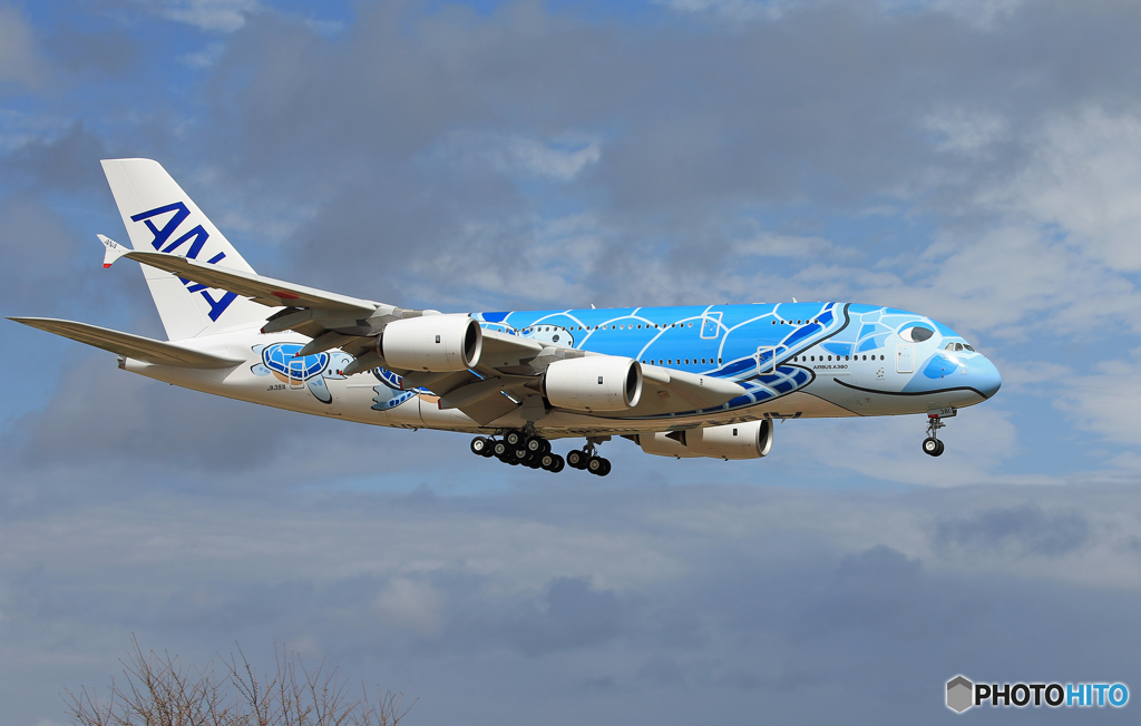 「真青の空」 ANA A380-841 JA381A 到着です