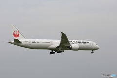 「はれ」 JAL 787-9 JA863J 着陸します
