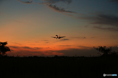 「ぶるー」 シルエット・７６７着地前