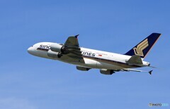 「青色が好き」SINGAPORE A380-841 9V-SKI 出発