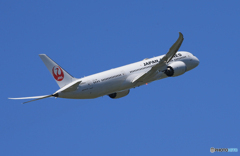 「青い空」が一番 JAL 787-9 JA864J 飛ぶ