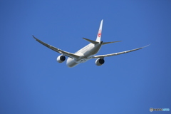 「そらー」 Japan Airlines 787-9