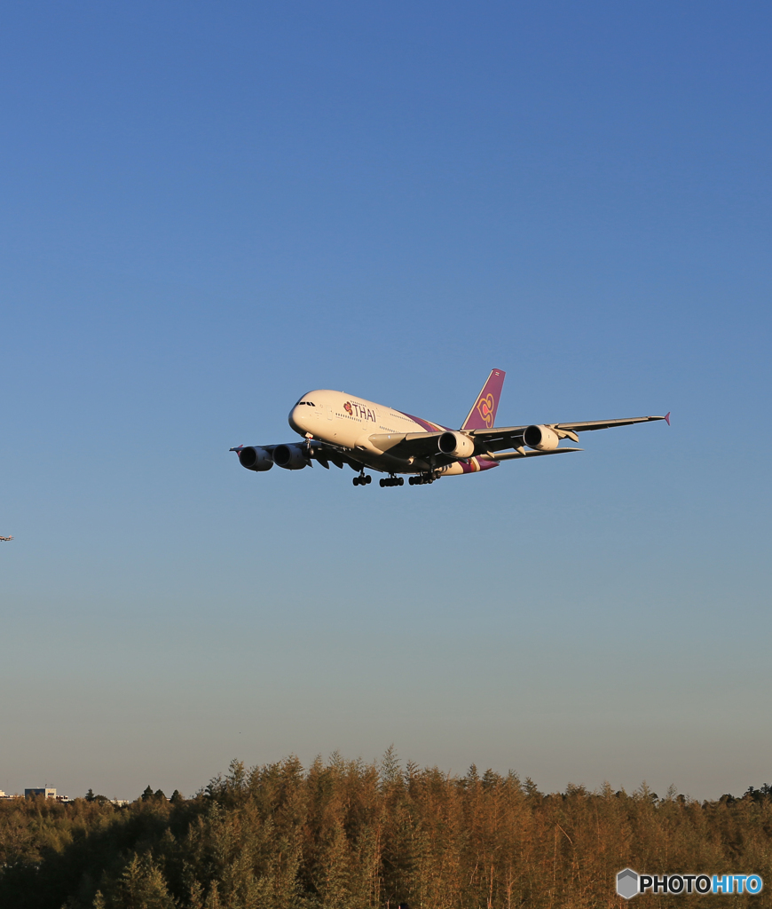 「スカイ」 THAI A380-841 HS-TUB Landing