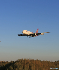 「スカイ」 THAI A380-841 HS-TUB Landing