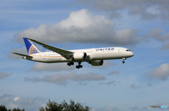 「青が好き」 UNITED 787-9 N26952 到着です