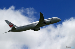 ☀「あおぞら」JAL 787-9 JA876J  Takeoff