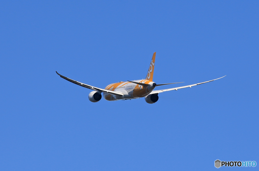「真青の空」scoot 787-8 9V-OFA 離陸です