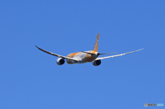 「真青の空」scoot 787-8 9V-OFA 離陸です