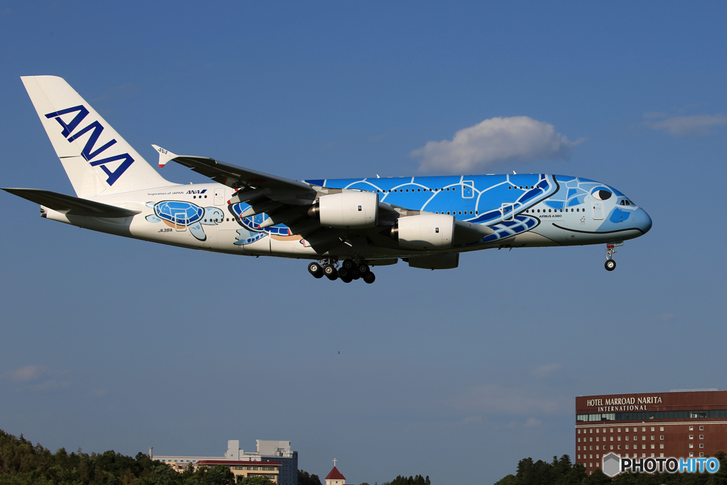 「そらー」Flying Honu A380-841 JA381A   着地前