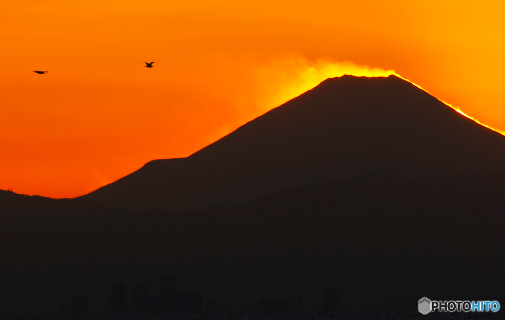 「空色」富士山と鳥たちの夕暮れ