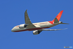 「晴れ」 Air India 787-8 VT-ANJ 飛び立ちです