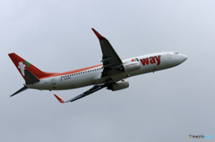 「スカイ」 t'way 737-8Q8 HL8026 飛行