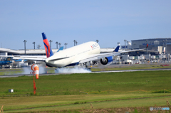 「良い空～」 DELTA A350-941 N501DN Landing