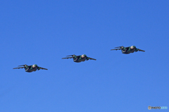 ☀「あおぞら」Kawasaki C-1  3羽？