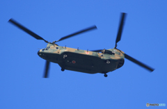  「良い空～」陸上自衛隊 ヘリコプター・ 訓練　