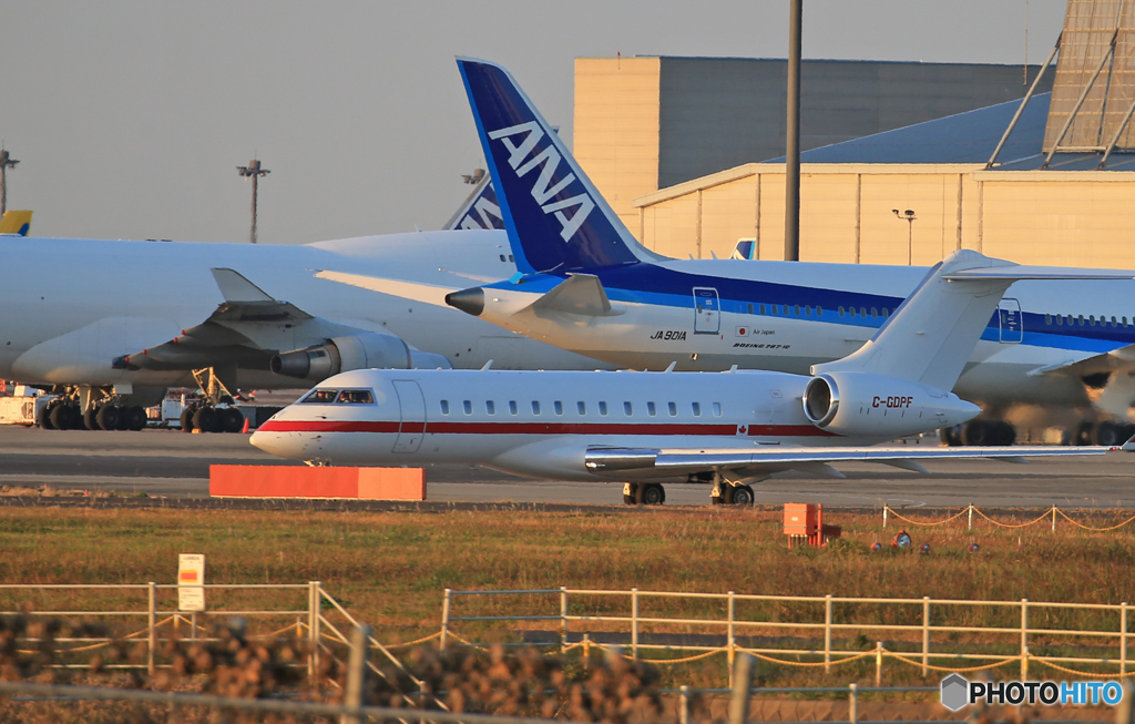 「青色が好き」プライベートBDー700 C-GDPF 飛ぶ