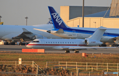 「青色が好き」プライベートBDー700 C-GDPF 飛ぶ