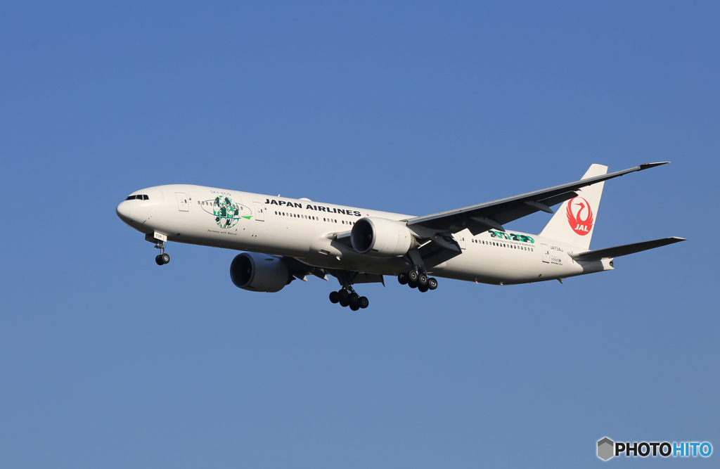 「すかい」 JAL 777-346 JA734J Landing