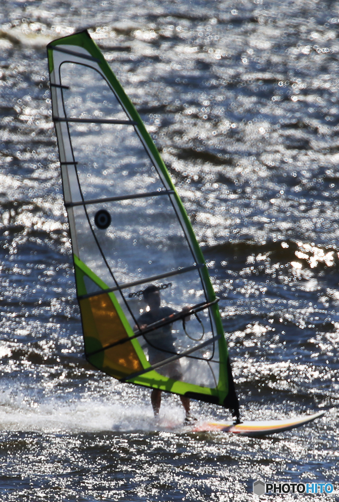 「青色が好き」風の流れに乗った