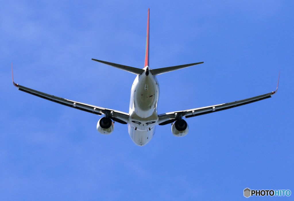 「青が大好き」 t'way 737 Takeoff