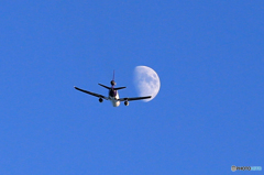 「青が大好き」 FedEx MD-11 Takeoff  