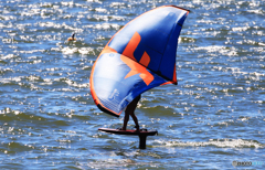 ☀「あおぞら」  風 と 友 達   (15)