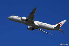 「青が大好き」JAL 787-9 JA872J 出発