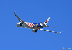 「あおぞら」Malaysia 特別塗装A350-941 Takeoff