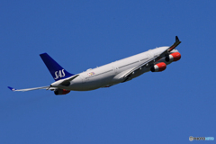 「ブルー」スカンジナビア A340-313 OY-KBI 出発