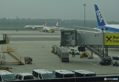 ☁霧の中やっと見つけた・ラウダ航空（２）☮