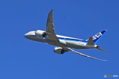 「SKY」 ANA 787-8 JA822A 離陸