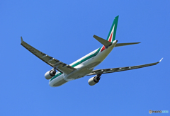 Alitalia A330-202 EI-EJD　離陸