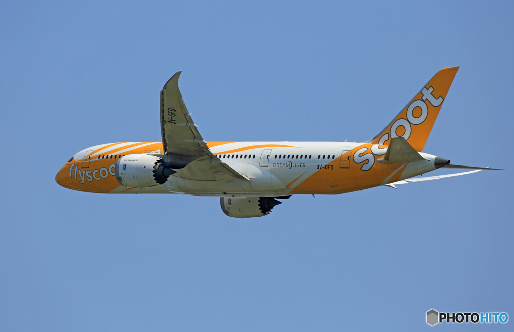 「良い天気」 scoot 787-8 9V-OFD Takeoff 