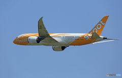 「良い天気」 scoot 787-8 9V-OFD Takeoff 