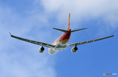 「青が大好き」Hong Kong A330-343 B-LNR飛ぶ