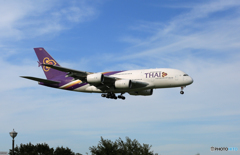 「真青の空」 THAI A380-841 HS-TUA 着地前
