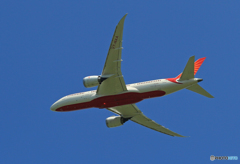 「良い空～」 AIR INDIA 787-8 VT-NAA 飛行
