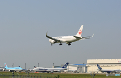 「青が好き」JAL 767 ジャンボ機見ながら着陸です サッカー日本「勝色」も‼
