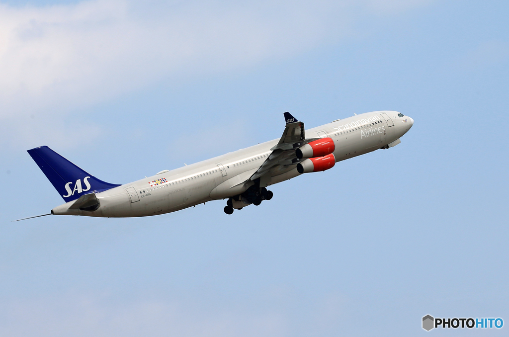 「青」 SAS A340-313 LN-RKG Takeoff
