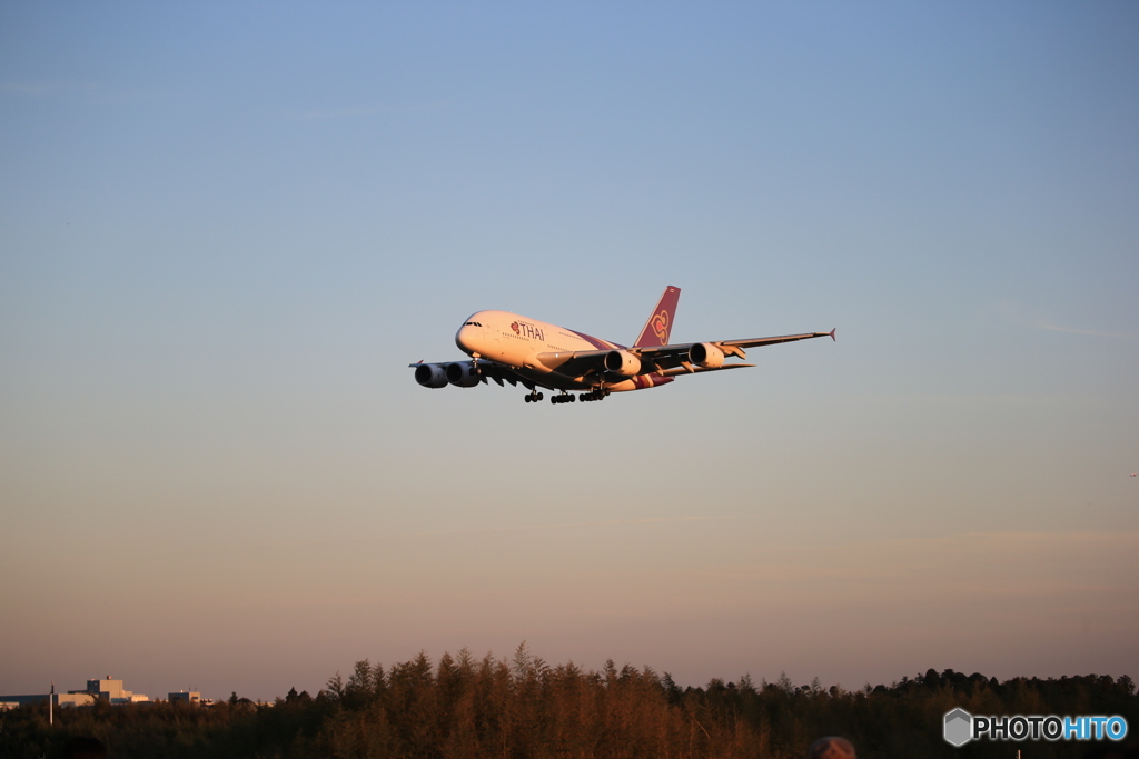 「青い日」Thai A380-841 HS-TUD Landing