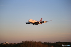 「青い日」Thai A380-841 HS-TUD Landing
