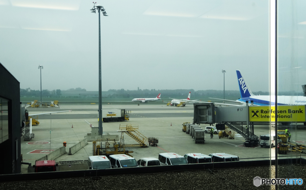 オーストリア   (1217)　ウイーン国際空港で 「ANA 」