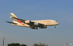 「SKY」 エミレーツ航空 A380-861 A6-EEG Landing
