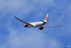 「青」☆Lion Air A330-941 離陸です