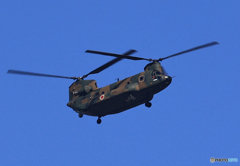 「SKY」チヌーク・飛行中