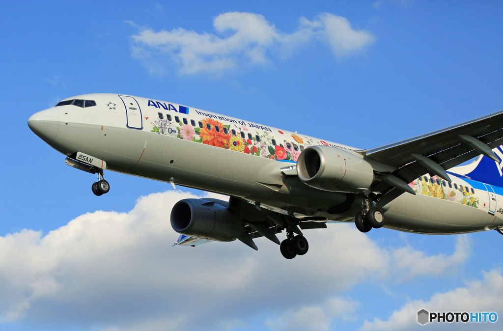 ✈初めての聖地巡礼に  ☮フラワージェット