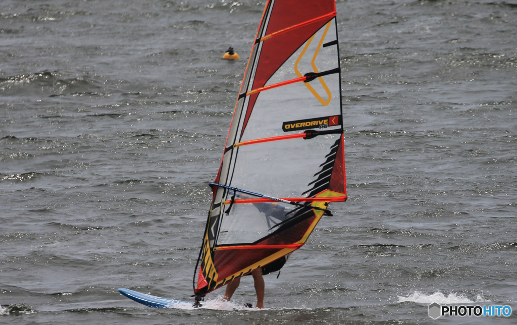「すかい」風の流れに乗ったね