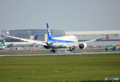 ☀「青い空」が一番 ANA 787-9 JA875A 到着