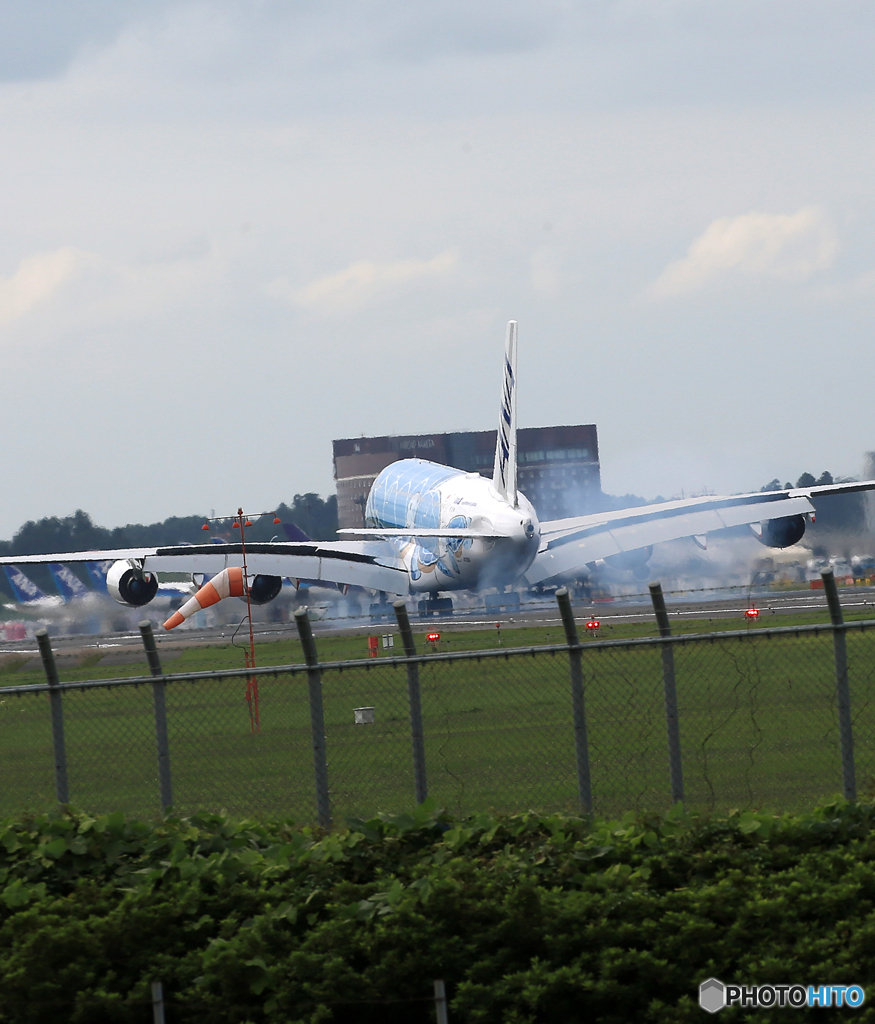 「すかい」Flying Honu JA381A  Landing 